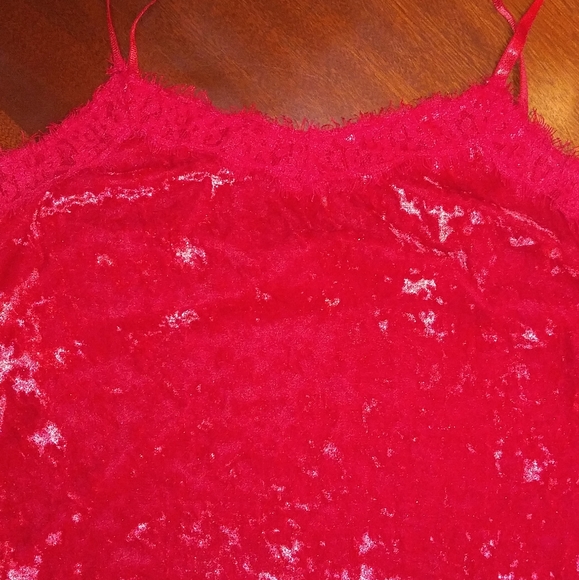 No boundaries Lace Velvet top r - Picture 2 of 4